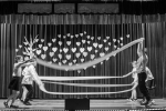 tn__DSC7214