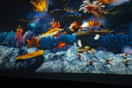 IMG-20260111-WA0003
