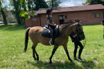 Messenger_creation_CF841D45-2519-4AEB-8559-682033972E9A