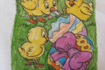 foto5