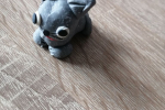 foto7