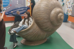 3dfd4575-fd69-4447-9792-ad433c0f67fd