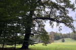 IMG-20251018-WA0008