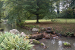 IMG-20251018-WA0012