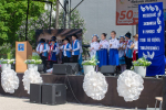 tn__DSC8766