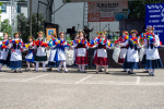 tn__DSC8842