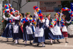 tn__DSC8848
