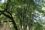 tn_IMG_20220622_094419_1