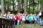 tn_SAM_6370