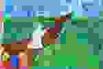 35705376-b0c9-4411-85e0-644513c3ca59