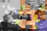 3da63c90-5eb4-47bf-8e9c-ccf053f05825