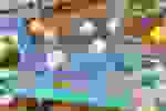 4254108f-8d0f-4b21-b24f-c280486ac2eb