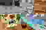 919b3a07-a514-4ac4-853f-e88dde29fd8a