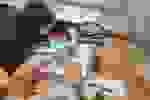 e15e8b51-bb70-4e15-8f9f-03b03c8a5b58