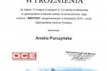 SKM_C224e17012611451_0001