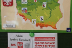 tn_image000002