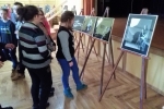 A. Panek Wystawa (11)