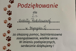 a8655c1c-7f94-4739-aa1d-7daafa00d68b