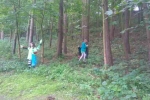 tn_mms_img-1386405150