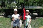 tn_IMG_20160604_122916