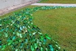 tn_IMG_20180510_143631