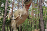 image000000
