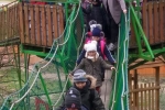 foto8