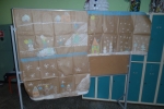 SAM_4775
