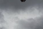 tn_20160128_124626