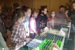tn_IMG_20210602_081933