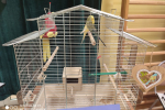 tn_IMG_20210602_112209