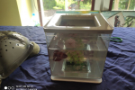 tn_IMG_20210602_112225