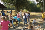 tn_DSCF0903